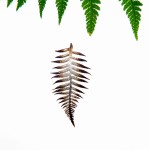 Zawieszka srebrna z brązową paprocią