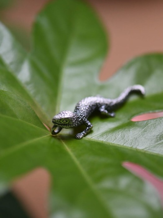 Salamandra zawieszka.