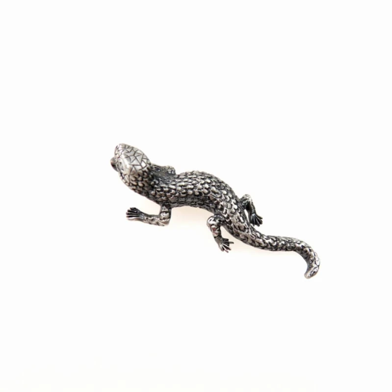 Salamandra zawieszka.
