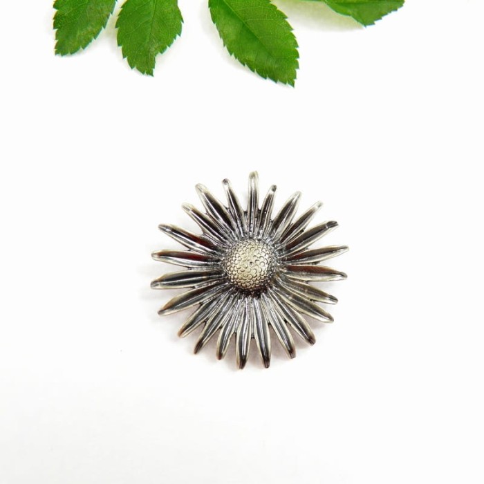 Aster zawieszka srebrna.