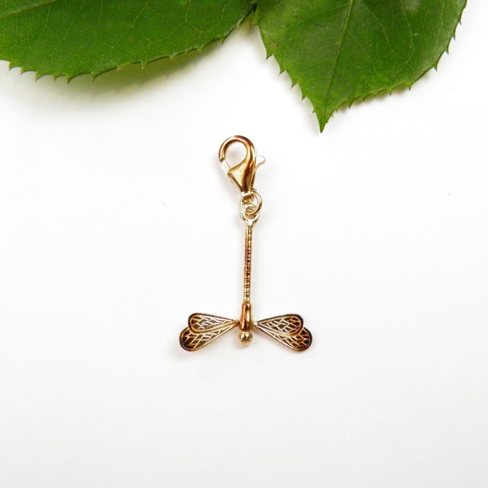 Mała ważka charms.