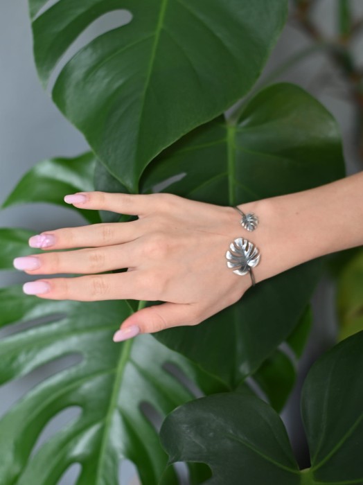 Monstera bransoletka.