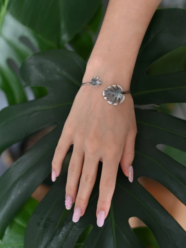 Monstera bransoletka.