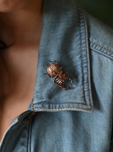 Broszka ze skarabeuszem.