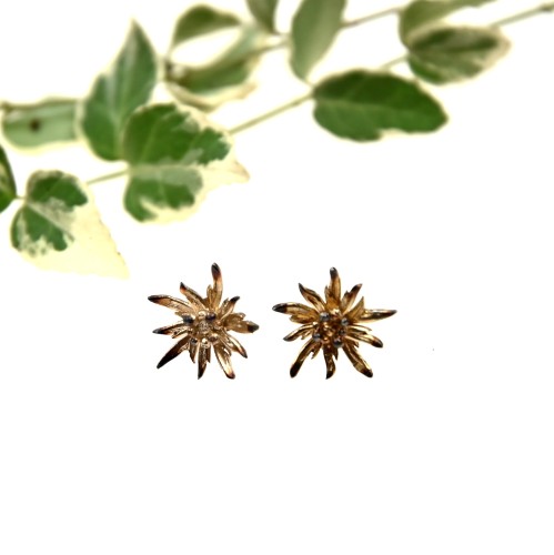 Kolczyki szarotki brązowe.