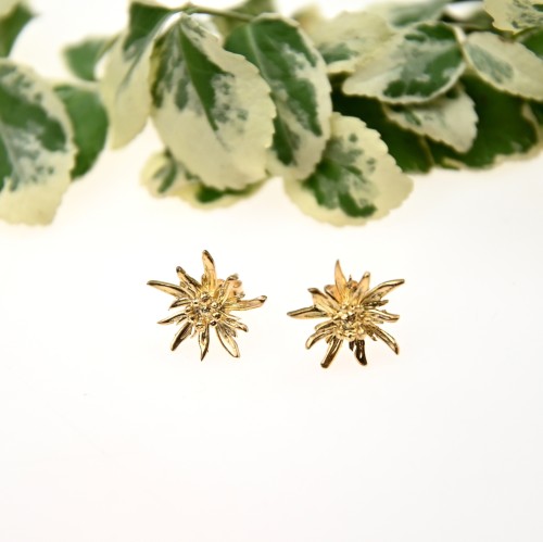 Kolczyki małe szarotki pozłocone.