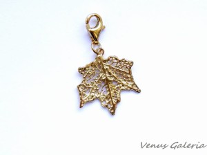 Charm - Złoty klon