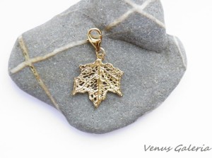 Charm - Złoty klon