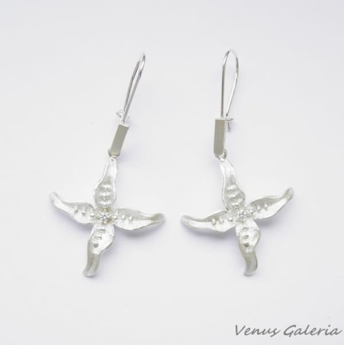 Kolczyki - Rozgwiazda mała biała